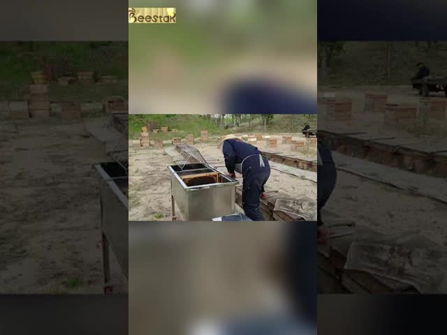 Stainless Steel Mini Honey Comb Frame Shelf 52*41.5*12cm Blue Square Beekeeping Frame Holder