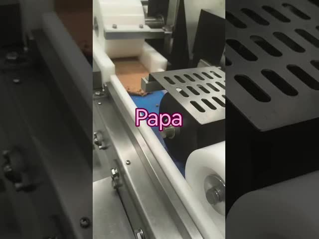 Papa Automatic P320 Peanut Brittle Granola Bar Cutting Machine