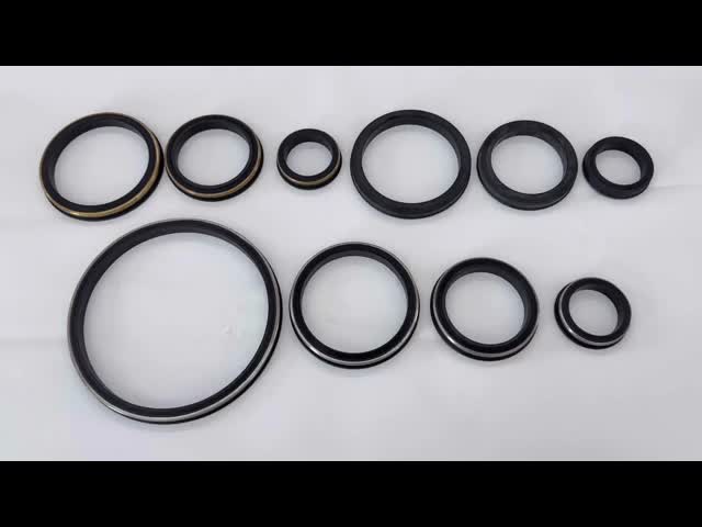 High Pressure 15000psi Hammer Union Seals with Stainless Steel Back-ups