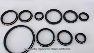 High Pressure 15000psi Hammer Union Seals with Stainless Steel Back-ups