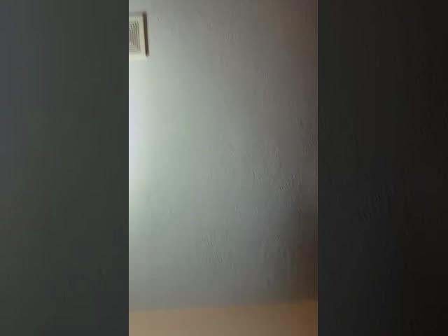 SP-6 Probiotics Hydroxyapatite Tooth Paste Tablets Mint Fresh Travel Size 62 Count No SLS