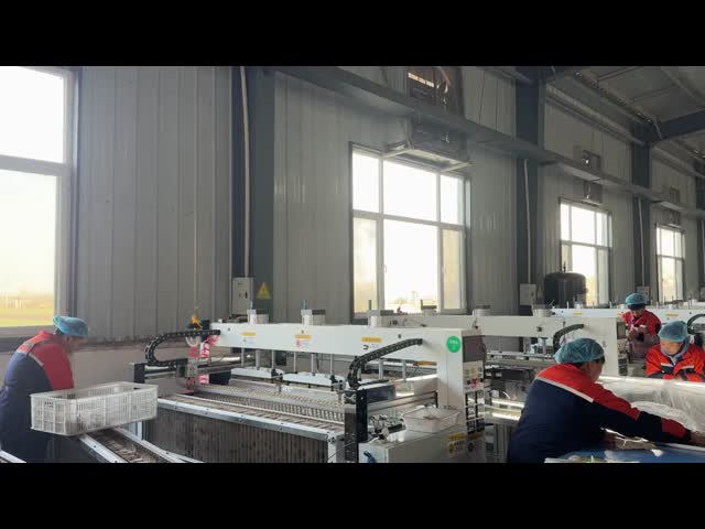2017 Milestone: Automated Production Lines Ensuring Quality & Scale for Global Food Service