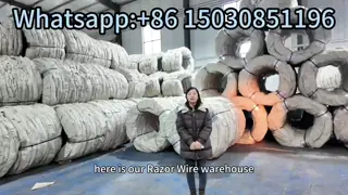 Outdoor Clipped 2.5mm Razor Concertina Barbed Wire Galvanized Steel Antiwear