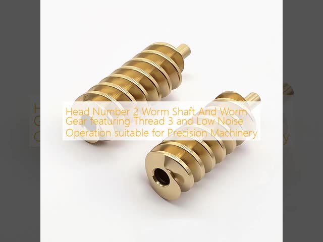 Head Number 2 Worm Shaft And Worm Gear featuring Thread 3 and Low Noise Operation suitable for Precision Machinery