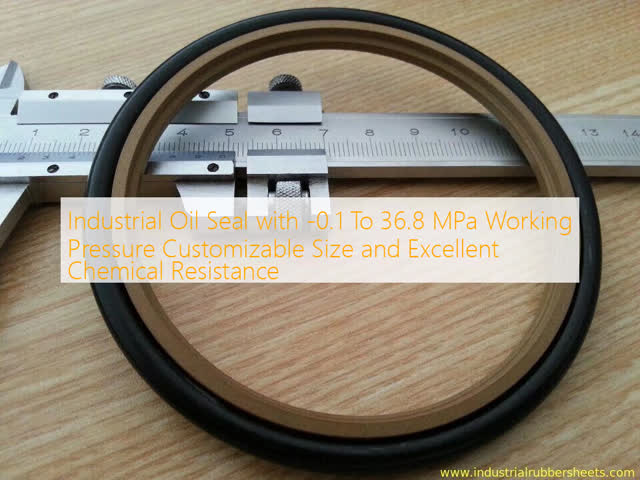0.04 Friction Factor Rubber Oil Seal with Double Lip and -0.1 To 36.8 MPa Working Pressure