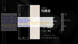 Thin-set Mortar Or Adhesive Installationmethod Modern Style Porcelain Tiles in 15 Multiple Patterns Perfect for Large Scale Construction Projects