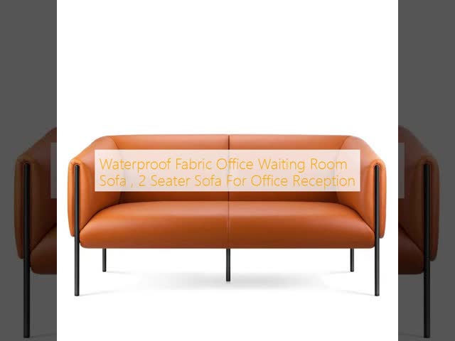 Waterproof Fabric Office Waiting Room Sofa , 2 Seater Sofa For Office Reception