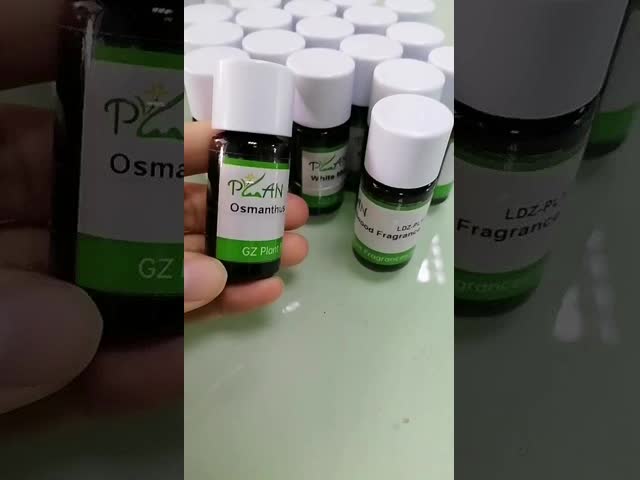 Fragrances For Soap Making  Adolf-type Fragrance Oil For Shampoo and Shower Gel & Scented Soap Making- IFRA
