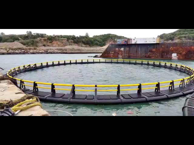 Deep Sea Fish Cages Built to Last