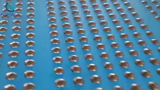 Chocolate Chips Production Line | High-Efficiency Automated Production Solution