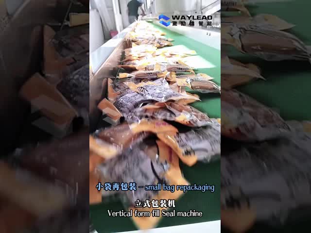 Vertical Form Fill Seal Machine Packaging Solutions For Food Processing Granules Liquids Powders