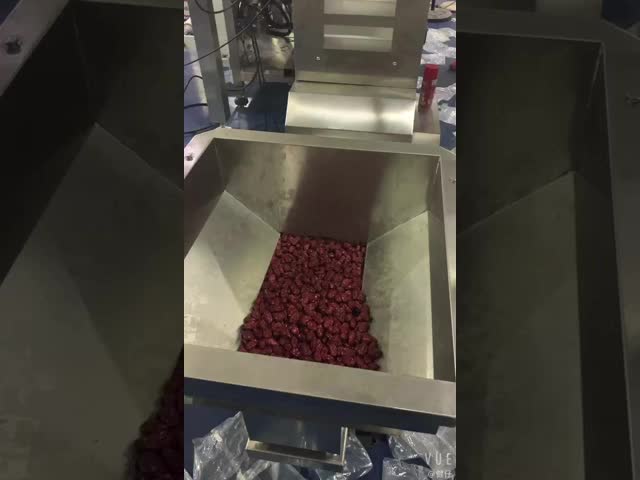 50g-1000g Pets Foods Weighing And Packaging Machine 10 head multihead weigher Vertical Form Fill Seal Packing Machine