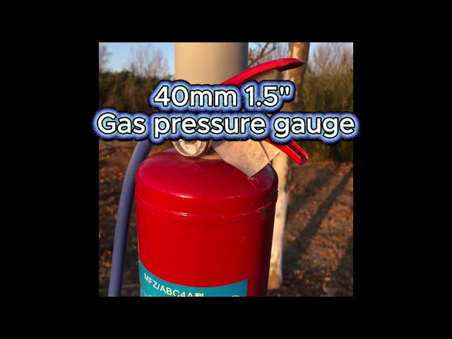 Industrial Gas Pressure Gauge & Meter with Gas-Specific Calibration for Critical Safety and Leak-Resistant Performance