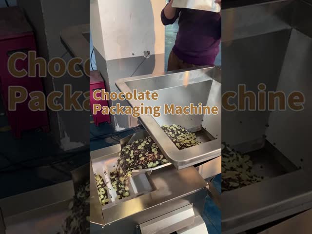 Automatic Zipper Stand-Up Pouch Packaging Machine with Bearing for Food Granules/Solids Plastic Film Packaging