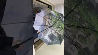 China Fully-automatic Windproof Red 2 Layers Foldable  Umbrella for Amazon Ventilation supplier