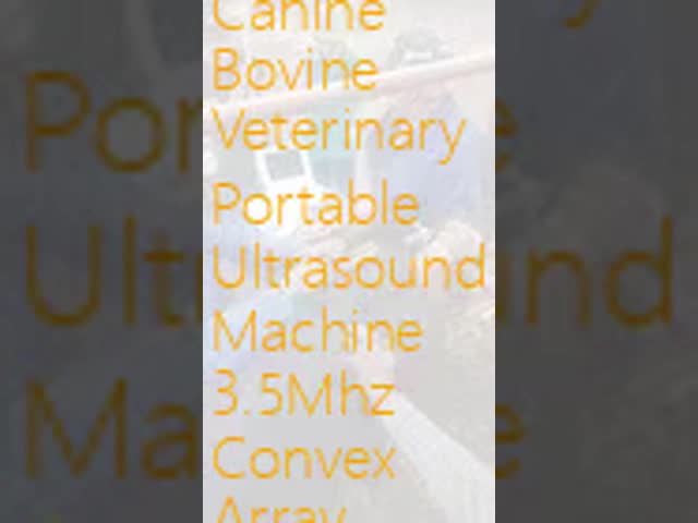USB Canine Bovine Veterinary Portable Ultrasound Machine 3.5Mhz Convex Array Probe
