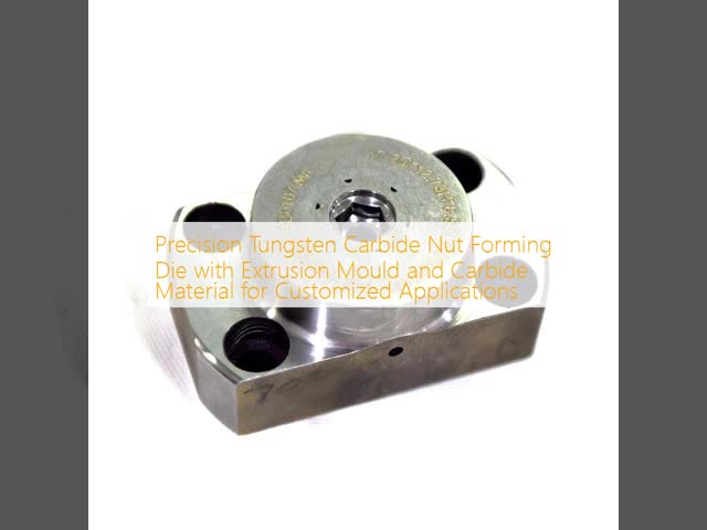 Precision Tungsten Carbide Nut Forming Die with Extrusion Mould and Carbide Material for Customized Applications