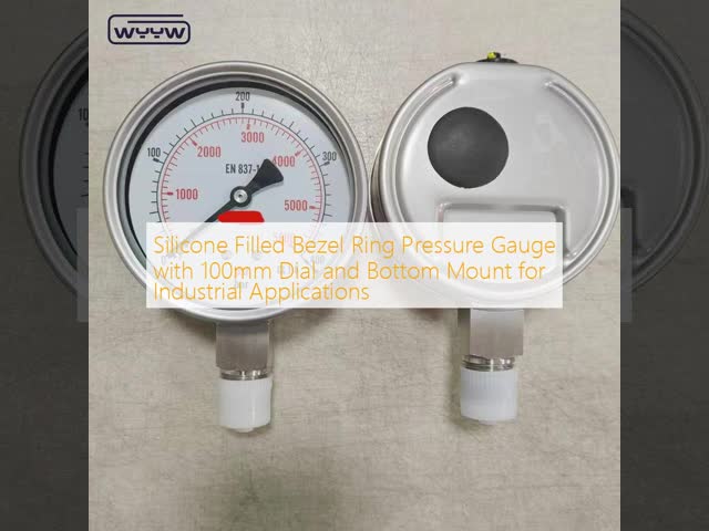 Silicone Glycerine Filled Bezel Ring Pressure Gauge with 100mm Dial and Bottom Mount for Industrial Applications