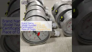 Silicone Glycerine Filled Bezel Ring Pressure Gauge with 100mm Dial and Bottom Mount for Industrial Applications