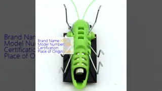 New Coming Montessori Toys Product Solar Grasshopper Other Outdoor Solar Insect Educational Solar Toy for Kids Learning