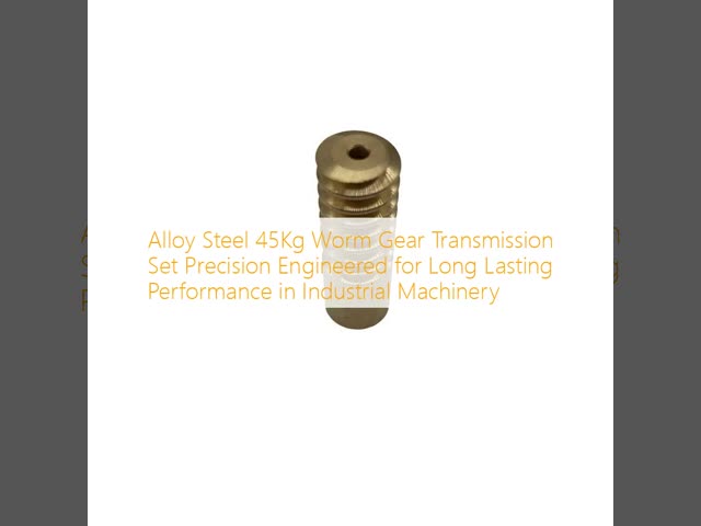 Alloy Steel 45Kg Worm Gear Transmission Set Precision Engineered for Long Lasting Performance in Industrial Machinery