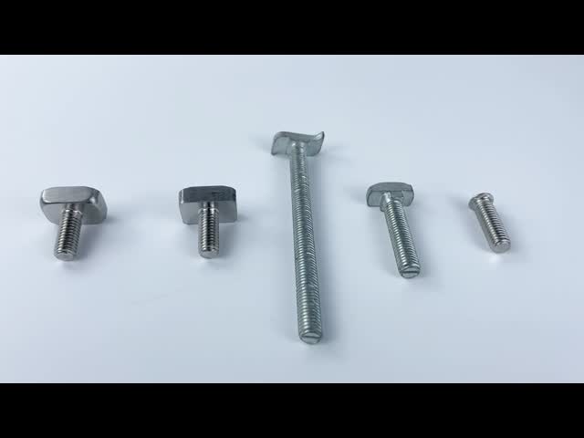 Sizes And Logo Patterns Can Be Customized Metal T Bolt   Aluminum Titanium