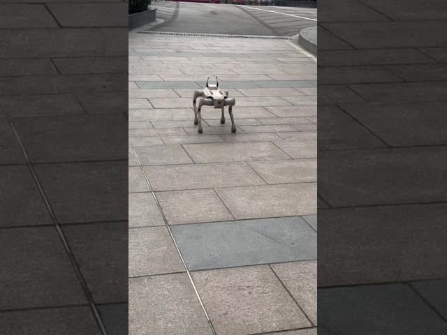 Industrial-Grade Quadruped Robot with All-Terrain Adaptability and Modular Expansion for Versatile Applications