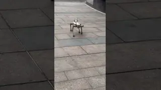 Industrial-Grade Quadruped Robot with All-Terrain Adaptability and Modular Expansion for Versatile Applications