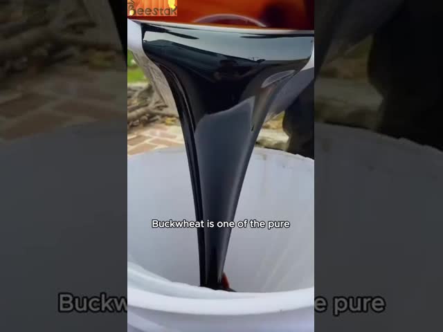 Beestar Organic Bulk Raw Unfiltered Black Honey 100% Pure No Additives Natural Honey Glass Jar For Baking Cooking Mature