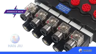 WALVOIL Valve Replacement SD5 3/8