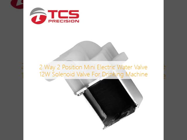2 Way 2 Position Mini Electric Water Valve 12W Solenoid Valve For Drinking Machine