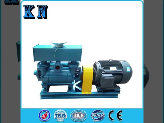 Chemical Pharmaceutical Food BE1 Watering Vacuum Pump With Steam Water Separator