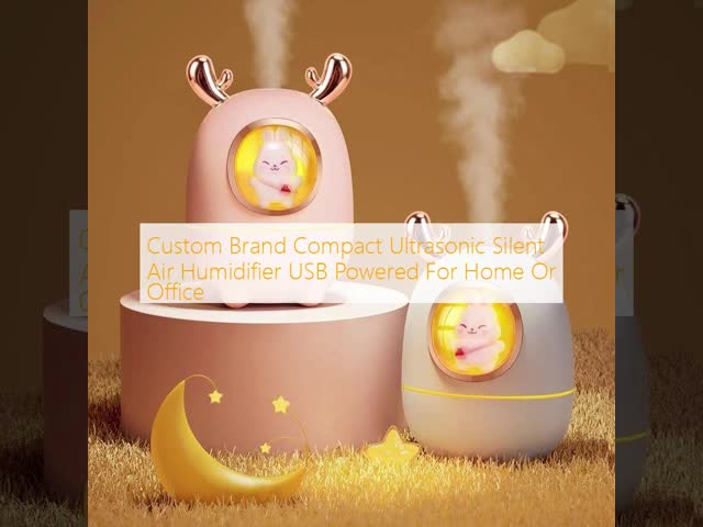 Custom Brand Compact Ultrasonic Silent Air Humidifier USB Powered For Home Or Office