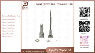 0445120075 Injector Repair Kit Include Nozzle DLLA137P1577 And Valve F00RJ01278