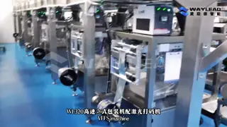 Multi-functional Single-layer Film Vertical Machine for Snack Processing Plants