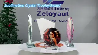 ZELOYAUT Multi Styles Sublimation Crystal Trophy Blanks, Glass Plate Blanks for Printing Crystal Photo Frame Crafts&Gifts Custom Awarding