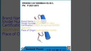 3.6V 9AH ER26500 Primary Battery High And Stableoperating Voltage Long Strong Life