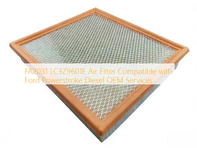 FA2031 LC3Z9601E Air Filter Compatible with Ford Powerstroke Diesel OEM Services