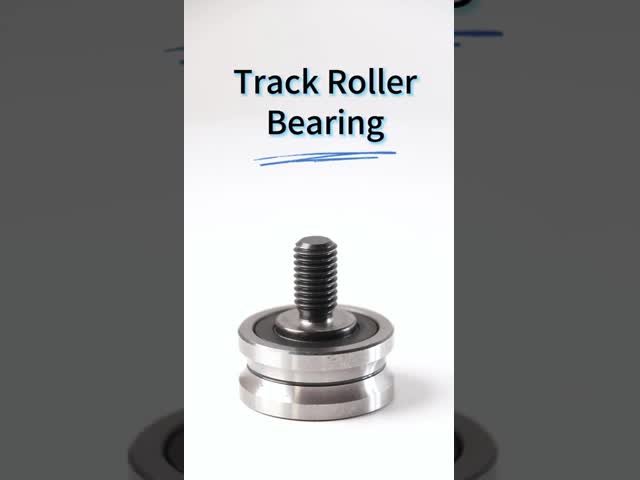 Chrome Steel SG25 Deep U-Groove Wheel Pulley Track Roller Bearings SG25N for Textile Machine