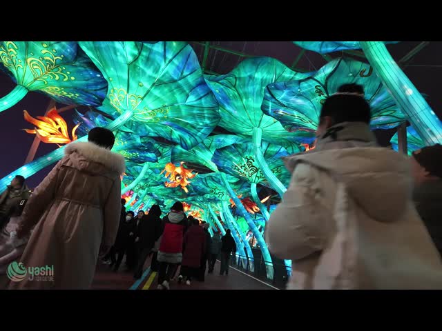 Large Outdoor LED Lotus Lantern Tunnel Sculpture - Holiday Decoration & Photo Spot