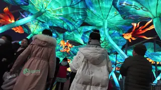 Large Outdoor LED Lotus Lantern Tunnel Sculpture - Holiday Decoration & Photo Spot