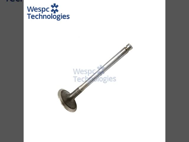 Intake Valve 3142H071 For Perkins Four-cylinder Diesel Engines
