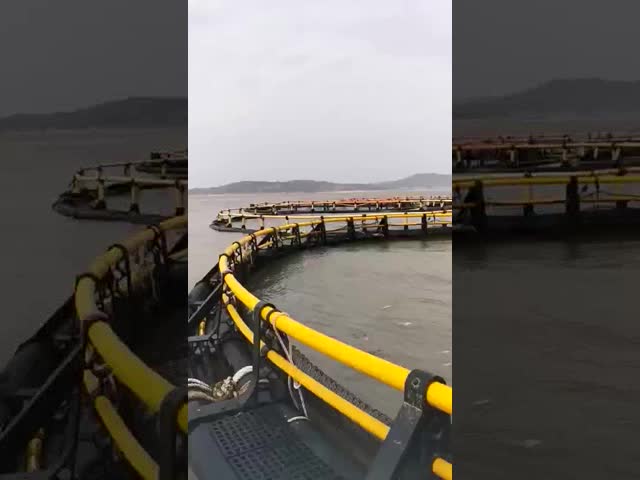 HDPE Pipe Floating Fish Farming Cage Aquaculture Traps Customizable