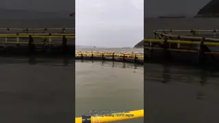 HDPE Pipe Floating Fish Farming Cage Aquaculture Traps Customizable