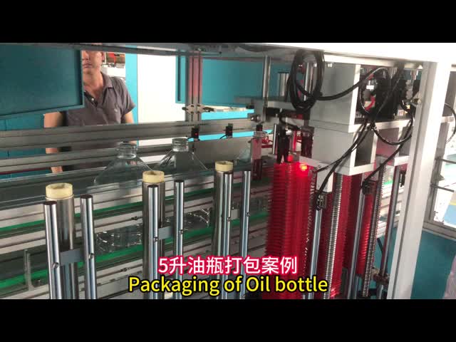 Rotary Two Station Bagged Bottle Palletizer Fully Automatic For Packaging Lines