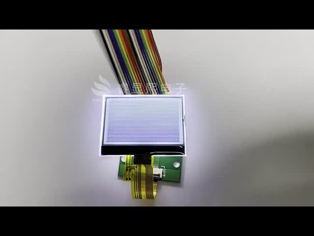 2.4 Inch 128x64 FSTN/Transflective/Positive Dot Matrix LCD Display for Industrial and Medical Instruments