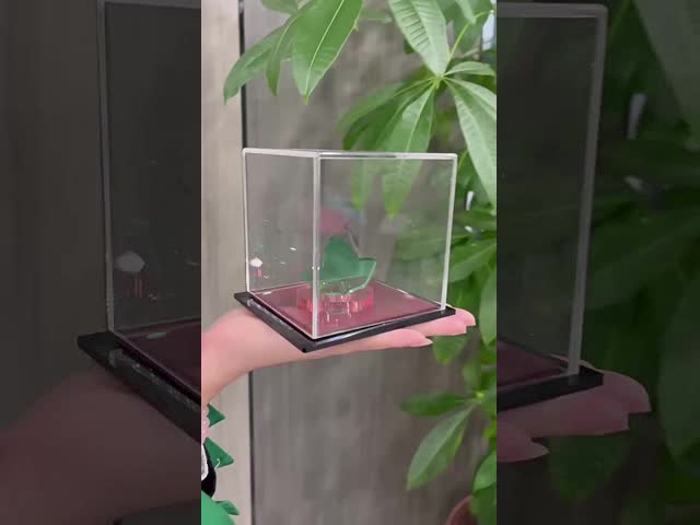 Clear Perspex Acrylic Display Box Tabletop Acrylic Case For Figures OEM Service