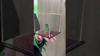 Clear Perspex Acrylic Display Box Tabletop Acrylic Case For Figures OEM Service