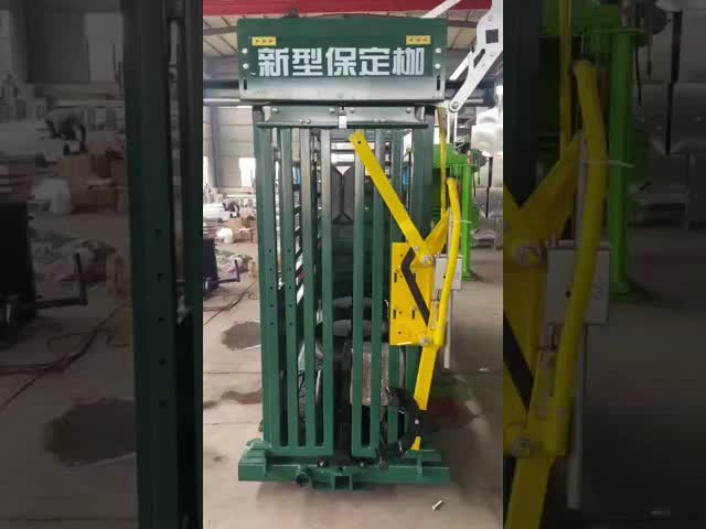 Heavy Duty Hot Galvanizzed Cattle Crush With Weighing System