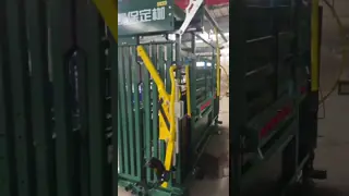 Heavy Duty Hot Galvanizzed Cattle Crush With Weighing System